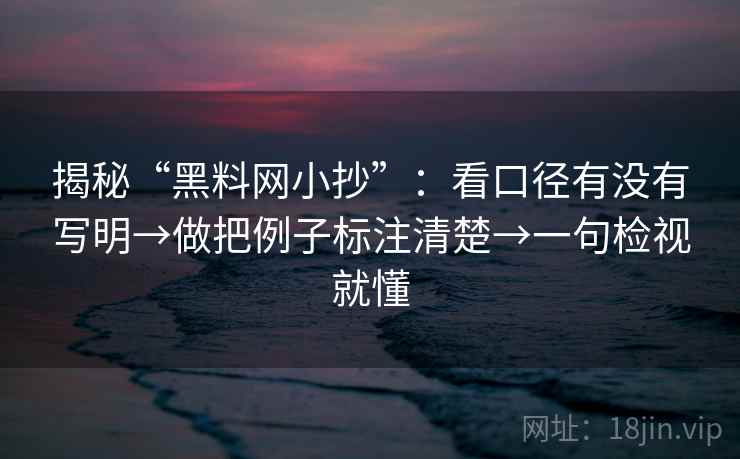 揭秘“黑料网小抄”：看口径有没有写明→做把例子标注清楚→一句检视就懂