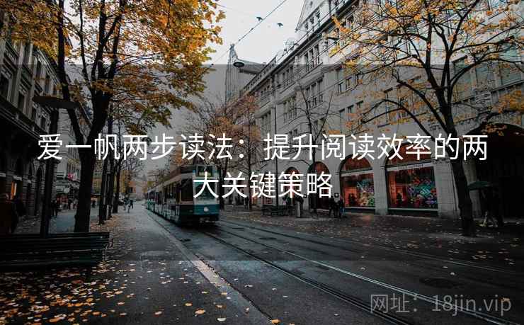 爱一帆两步读法：提升阅读效率的两大关键策略